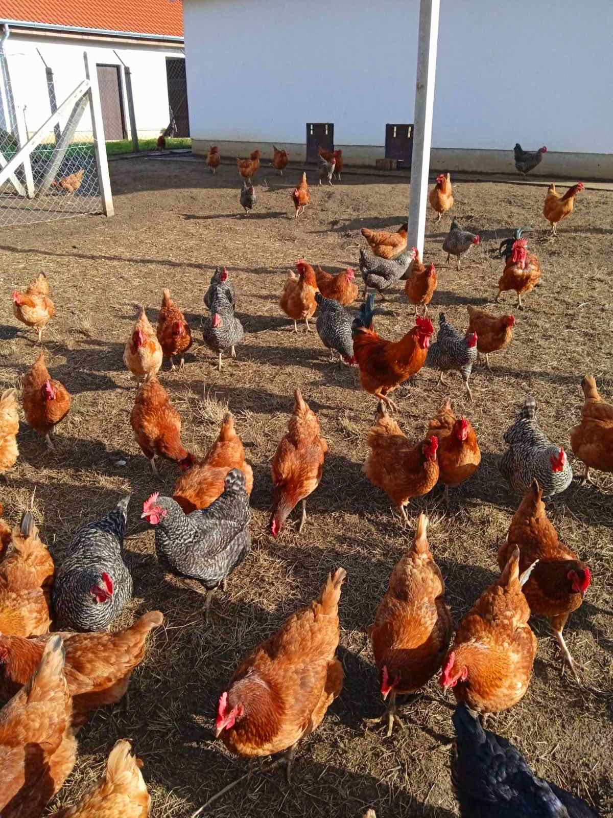 A Nagymama Házi Boltja
